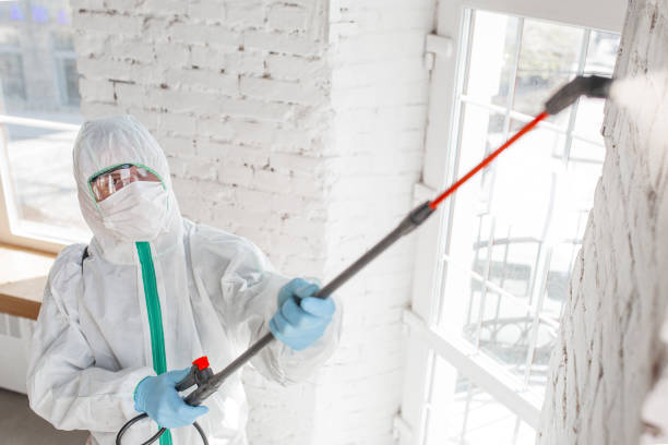 Shelton, NE Mold Inspection, Removal & Remediation Company